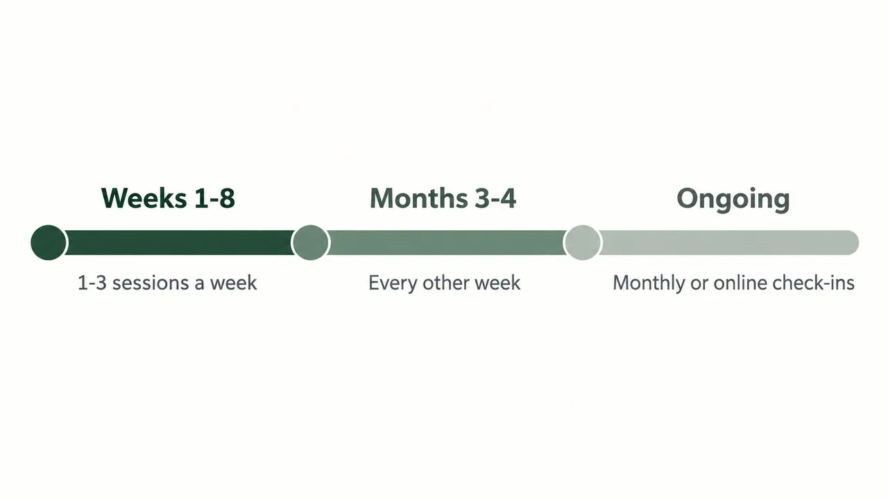 Timeline diagram showing weeks 1 to 8 with one to three sessions a week, then every other week, then monthly sessions or online check-ins.