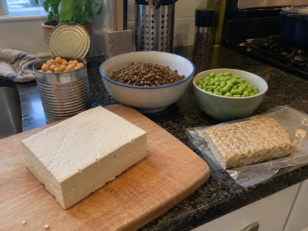 A block of firm tofu, a bowl of cooked lentils, shelled edamame, tempeh and an open can of chickpeas on a kitchen counter.